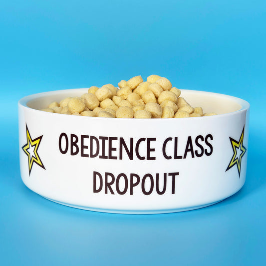 Ceramic pet bowl with phrase Obedience Class Dropout